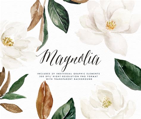 Watercolor Flower Clip Art-magnolia Elements/small - Etsy