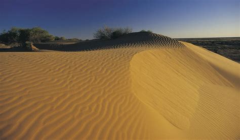 GALLERY: Australia's desert landscapes - Australian Geographic