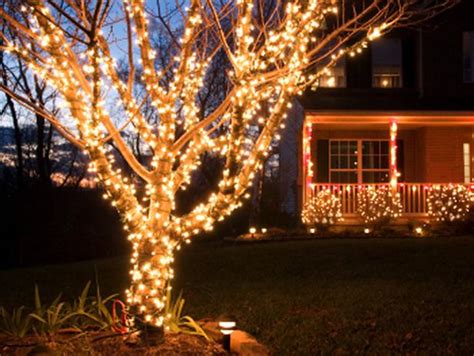 Christmas outdoor net lights - make your evenings fun, classic and ...