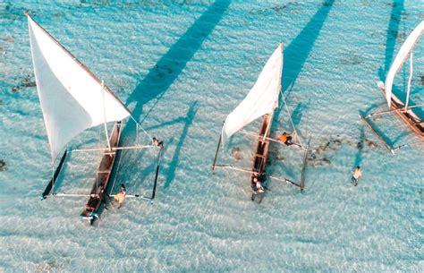 What to do in Zanzibar: tours and activities | Ponant Magazine