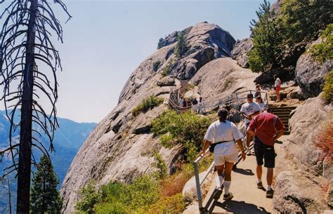 Moro Rock Hike in California 2024 - Rove.me