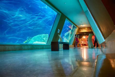 SEA LIFE Aquarium Istanbul 2024 • Entry Ticket