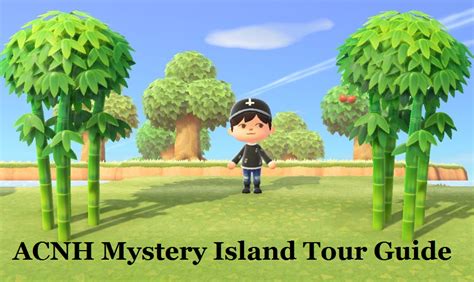 ACNH Mystery Island Tour Guide & Tips | Rare Mystery Islands Probability and Items