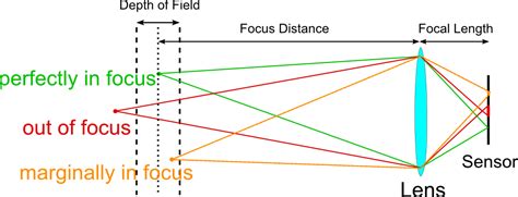 Sensor Size, Perspective and Depth of Field