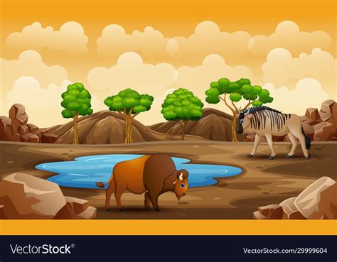 Cartoon animals in dry land Royalty Free Vector Image