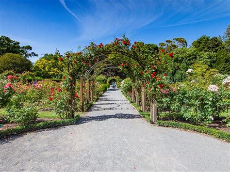 Experiences | Distinction Christchurch Hotel | Christchurch Botanic Gardens