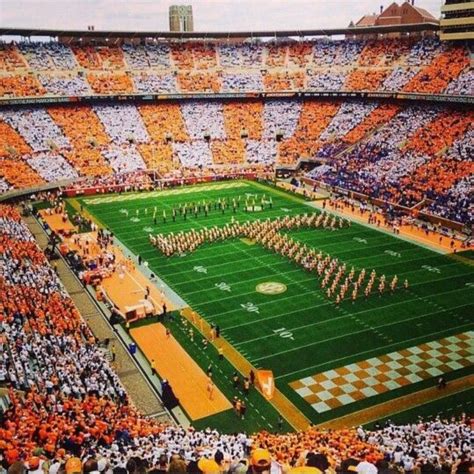 Pin by Regina on Tennessee Volunteers | Tennessee football, Tennessee ...