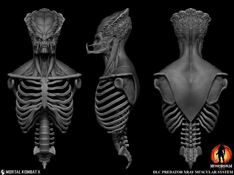 Angel Bedolla - MKX DLC-Predator Xray Muscular System