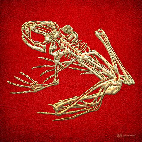 Frog Skeleton in Gold on Red Digital Art by Serge Averbukh