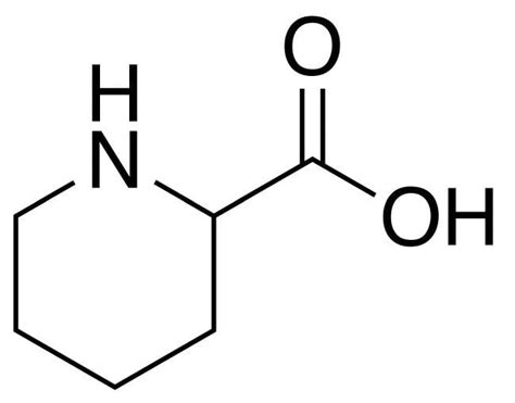 Piperidine - Alchetron, The Free Social Encyclopedia