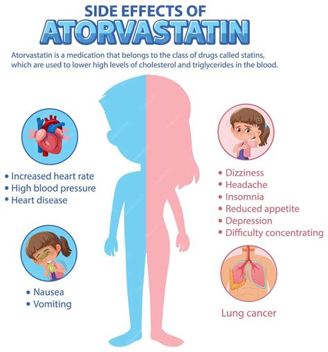 Premium Vector | Human anatomy diagram cartoon style of atorvastatin side effects