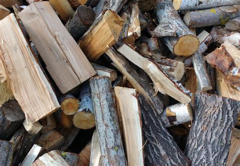 Firewood Types - What Is the Best Firewood?