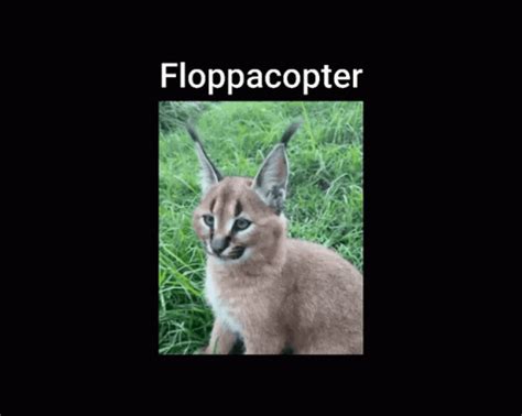 Floppa Helicopter GIF – Floppa Helicopter Floppacopter – discover and share GIFs