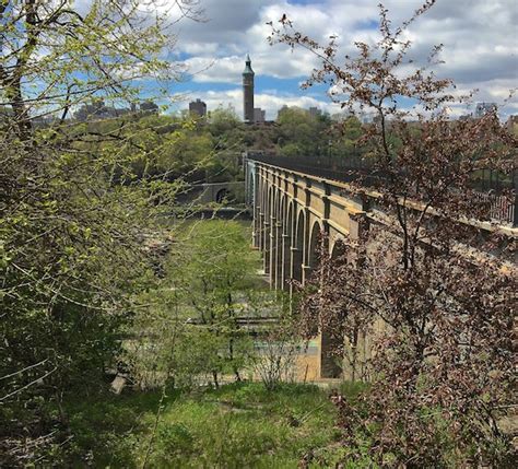 H A R L E M + B E S P O K E: WALK: HIGHBRIDGE AT THE HARLEM RIVER ...