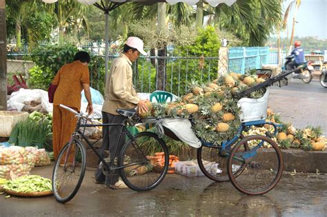 Vinh Long Province, Vietnam | Tourism info for visiting