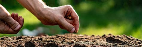 Soil, Water & Land Use / Auburn University College of Agriculture