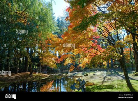 Japanese Fall Foliage Stock Photo - Alamy