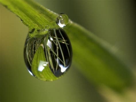 Water Drop Reflection photo - Sayer photos at pbase.com