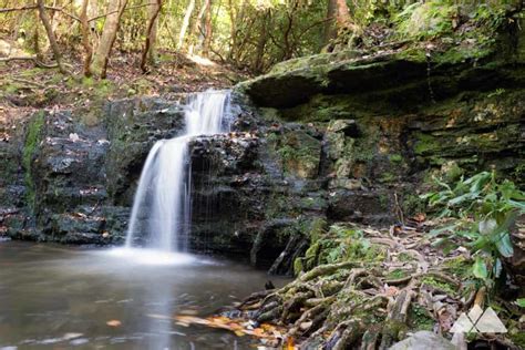 Cascade Falls: Pine Mountain Trail at FD Roosevelt State Park