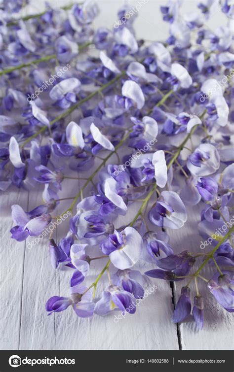 The colors of wisteria Stock Photo by ©Fotografiche 149802588