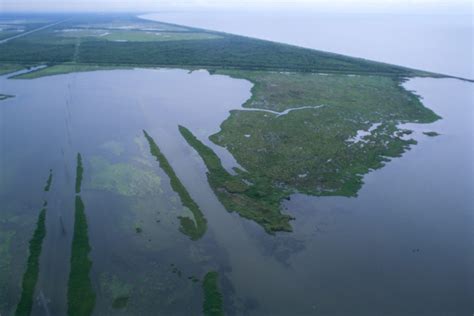 Louisiana Wetlands Experiencing Sea Level Rise Four Times The Global ...