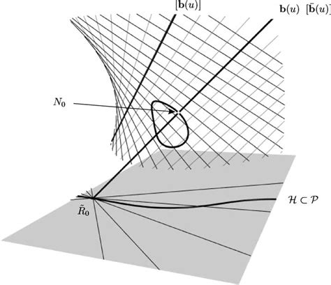 A stereographic projection on S. | Download Scientific Diagram