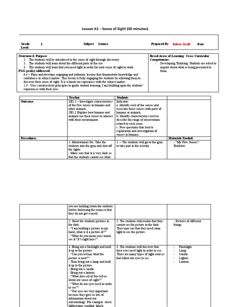 Sense of Sight | PDF | Visual Perception | Constructivism (Philosophy Of Education)