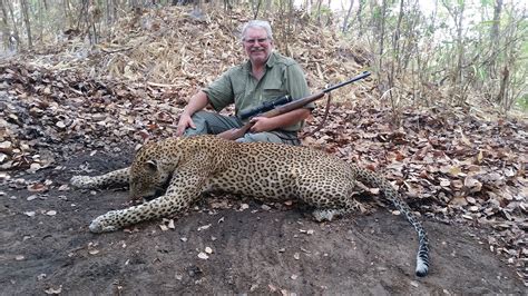 Leopard Hunt With Hounds Special 2017 | AfricaHunting.com