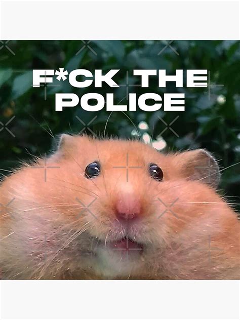 "Funny Hamster Meme" Sticker by DonatasSab | Redbubble