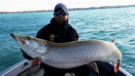 Musky Fishing 101: All You Need To Know About The Fish Of 10,000 Casts