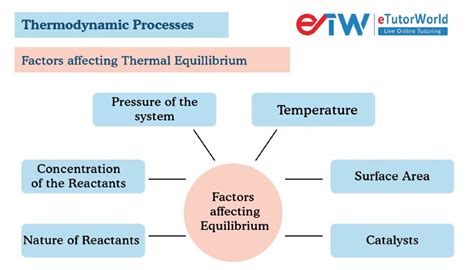 Thermodynamic Equilibrium - eTutorWorld