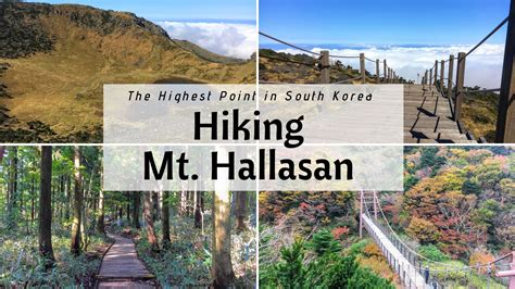 The Best Trail to Hike Mt. Hallasan on Jeju Island, South Korea - Erika's Travelventures