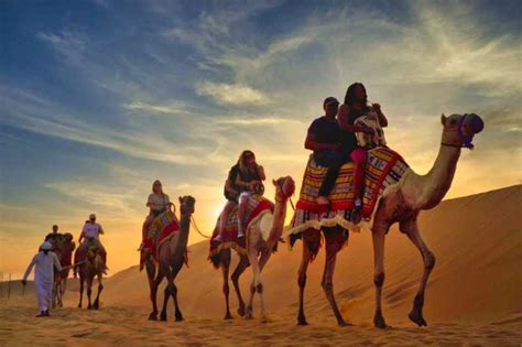 Dubai Camel Safari (Desert Safari with Camels!) Foreign Destinations