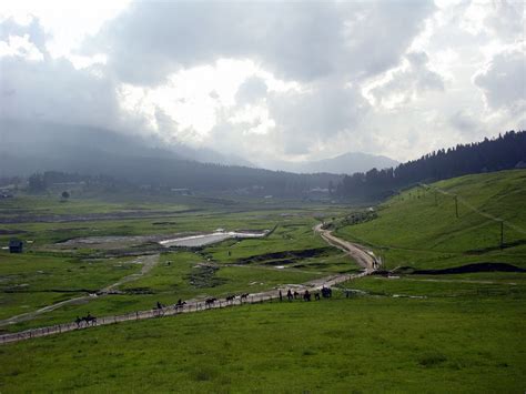 Meadows of Gulmarg |Search Kashmir