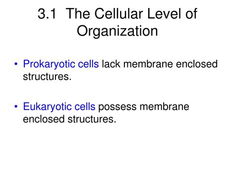 PPT - 3.1 The Cellular Level of Organization PowerPoint Presentation, free download - ID:6845292