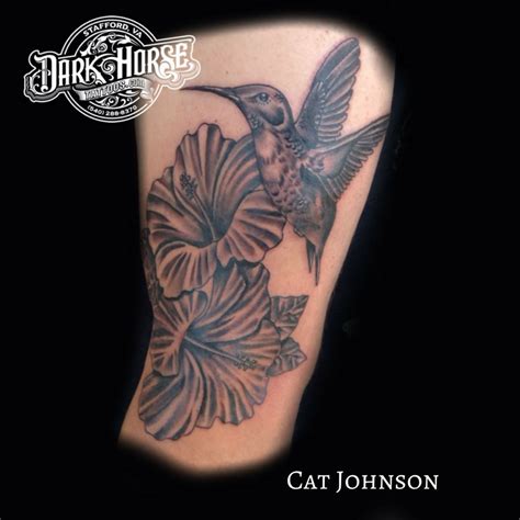 catjohnson:hummingbird-and-hibiscus-bird-hummingbird-hibiscus-flowers ...