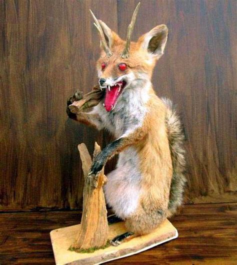 42 Cringeworthy Taxidermy Fails | KLYKER.COM