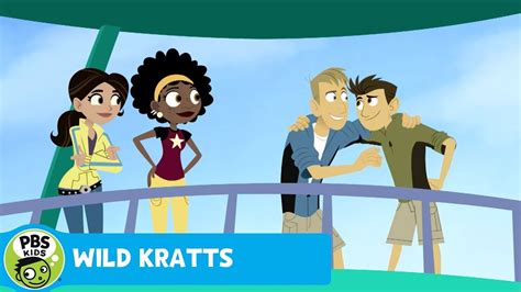 WILD KRATTS | Name the Heron | PBS KIDS - YouTube