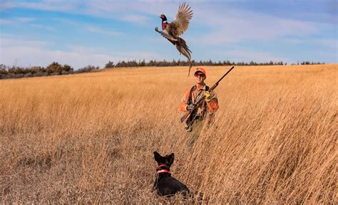 Pheasant Hunting Photo Essay | Travel South Dakota