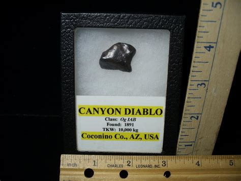 Canyon Diablo Meteorite (113021d) - The Stones & Bones Collection