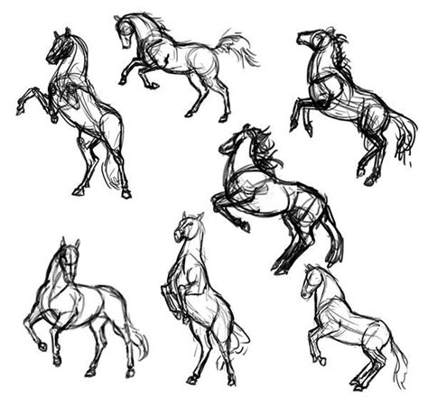 Reference photos for artists to paint horse images – Artofit