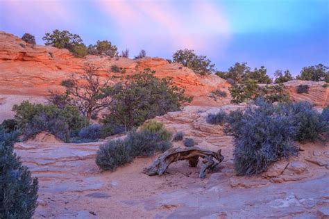 Premium Photo | Mesa arch at sunrise in winter, canyonlands np, usa