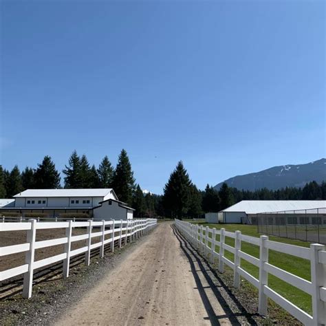 Spring at the Ranch – Black Mountain Ranch Campground