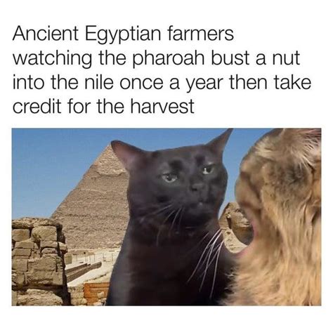 The best Pharaoh memes :) Memedroid