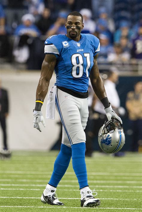 DETROIT, MI - DECEMBER 16: Wide receiver Calvin Johnson #81 of the ...