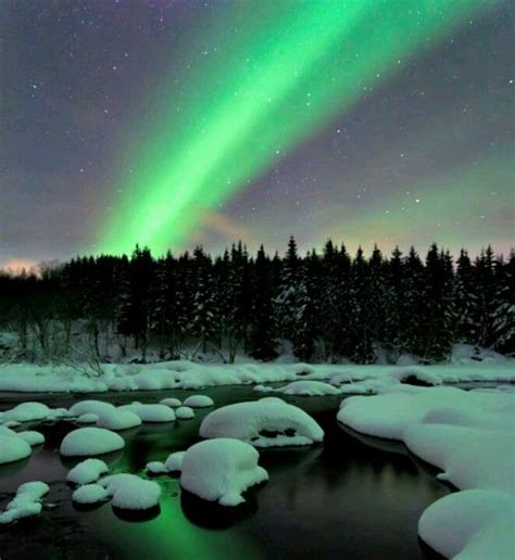 Winter dream | Northern lights norway, Northern lights, Nature pictures