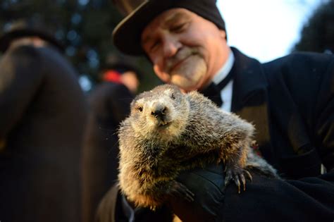 The scene during Groundhog Day in Pennsylvania - The Washington Post