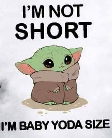 46 Baby Yoda Memes That Star Wars Fans Can't Ignore Anymore in 2021 ...