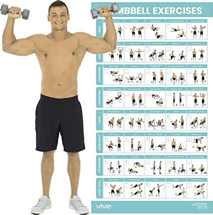 Vive Dumbbell Exercise Poster Home Gym Workout For Upper Lower Full ...