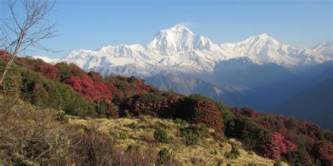 Annapurna Conservation Area – KTM Guide